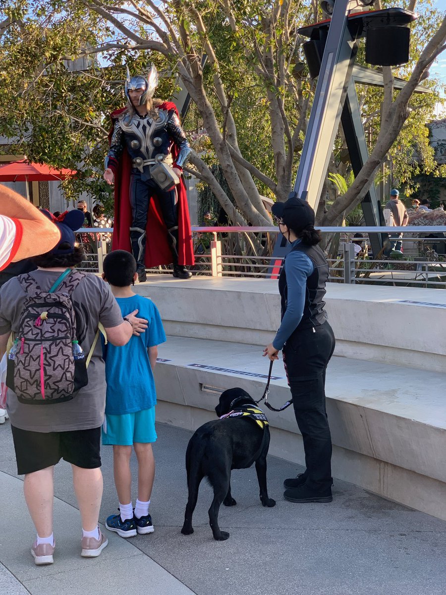 RT @dlnt: When everyone wants to meet Thor, but you just want to meet the service dog… https://t.co/JJbe8icSSF