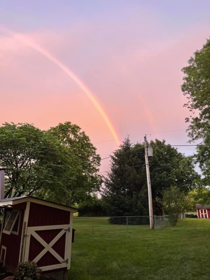It is said that when a pet dies they cross the Rainbow Bridge.  Today, at 3:15 p.m., Dr. Jennifer Glasgo and her team took away Lexi’s pain and ended her suffering. And tonight, <a href="/Tamarabutts/">Tamara Butts</a> and I saw the Rainbow Bridge that will take Maple Ridge Alexis Jane home.  Run free Lexi