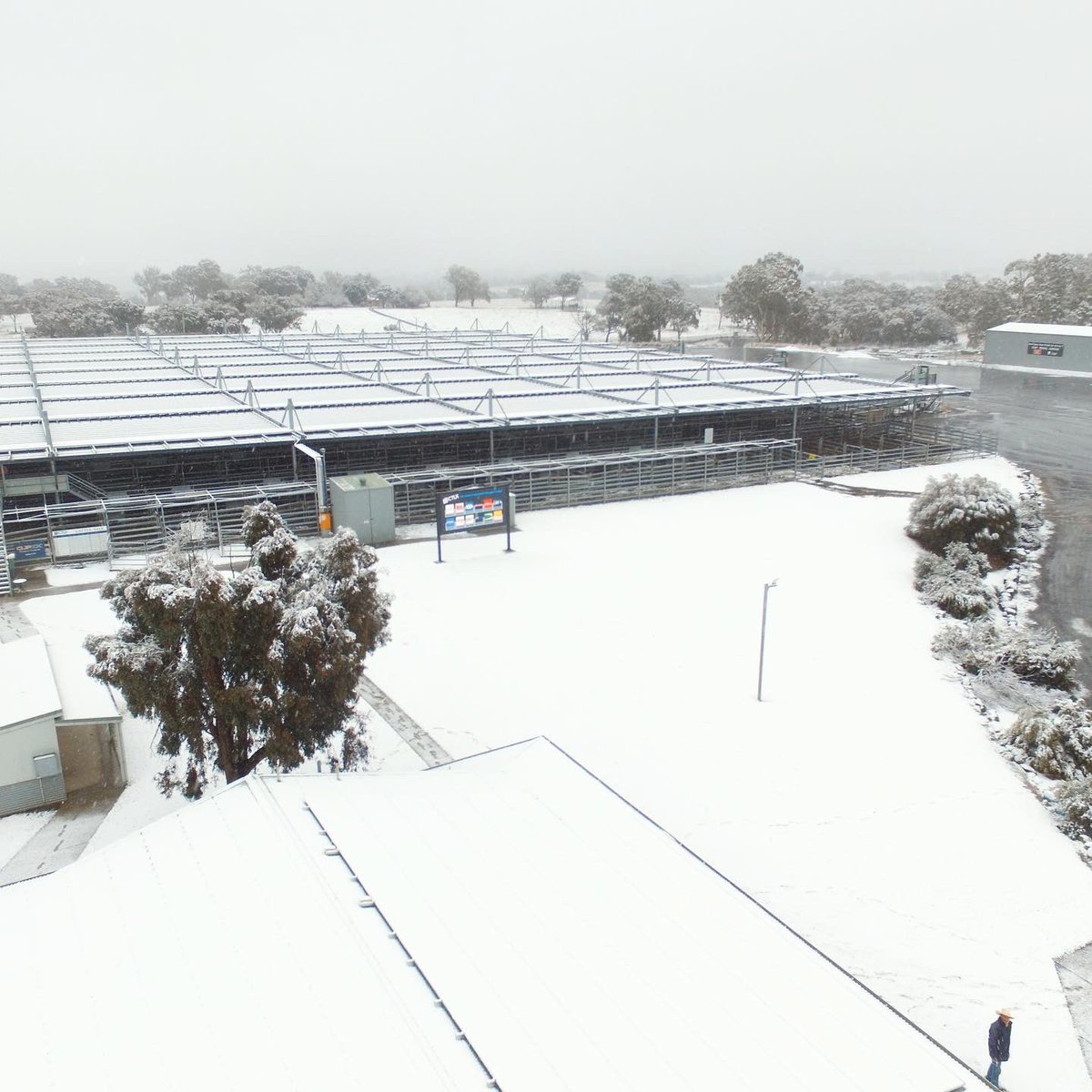 AAM Investment Group tweet media