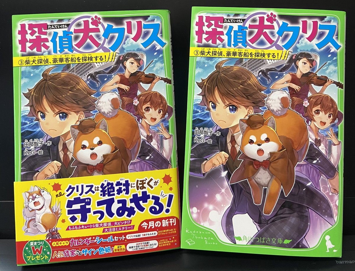 秋木真 怪盗レッド19巻 怪盗レッド The First2巻発売中 Akimokutei Twitter 秋木真 怪盗レッド19巻 怪盗レッド The First2巻発売中 Akimokutei Twitter