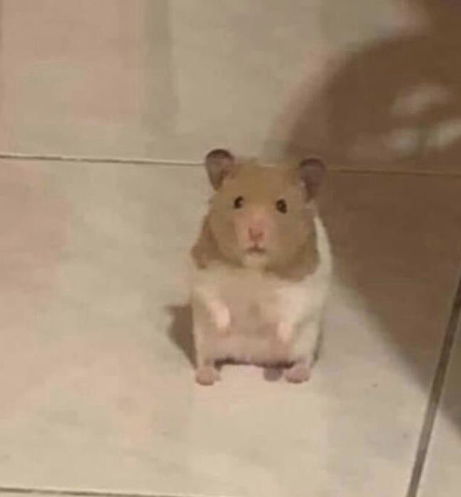 me after begging someone to take a pic of me