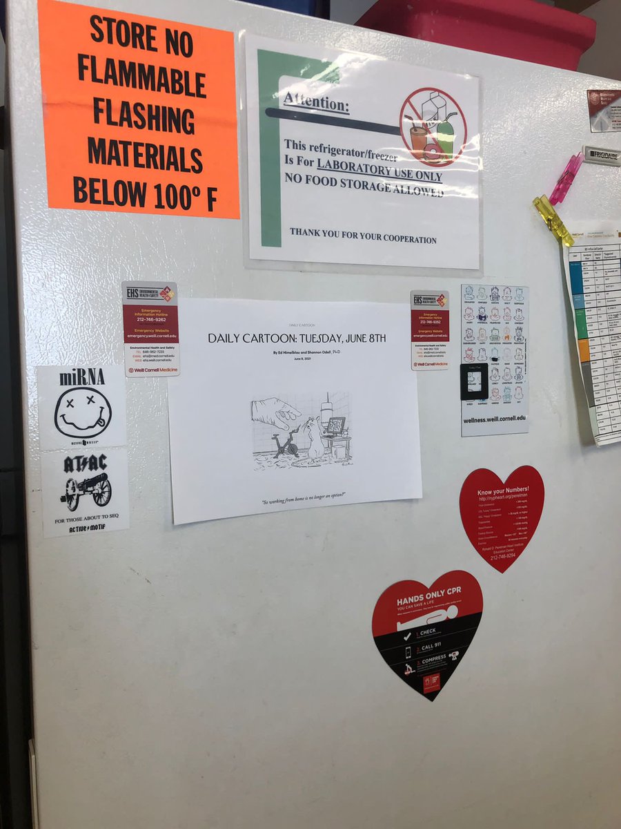 Slightly different kinda publication from <a href="/shodell/">Shannon Odell</a> this time around! Naturally, we stuck it on the fridge like proud parents. <a href="/WeillCornell/">Weill Cornell Medicine</a>