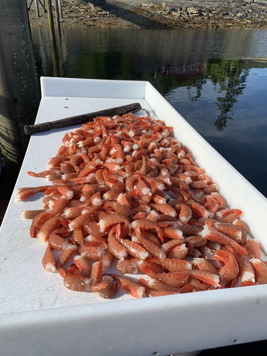 elerding's tweet photo. Shrimp Dinner https://t.co/CHpLbHT42M