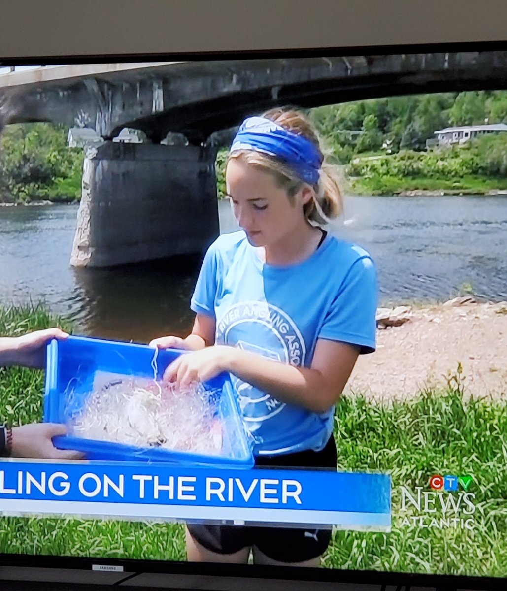 bmchristo26's tweet photo. @abby_rose57 saw you on tv!
#celebrity 
#recycling 
@4ocean 
@HammondRiverNB 
#ProudDad https://t.co/DgKpsMAMxk