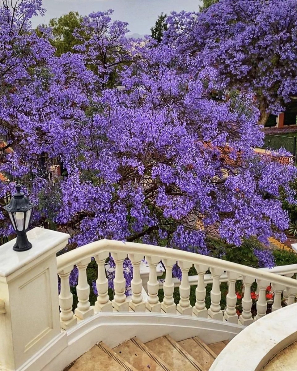 Arabbeau's tweet photo. Abha - Saudi Arabia https://t.co/YdJaqs3eEK