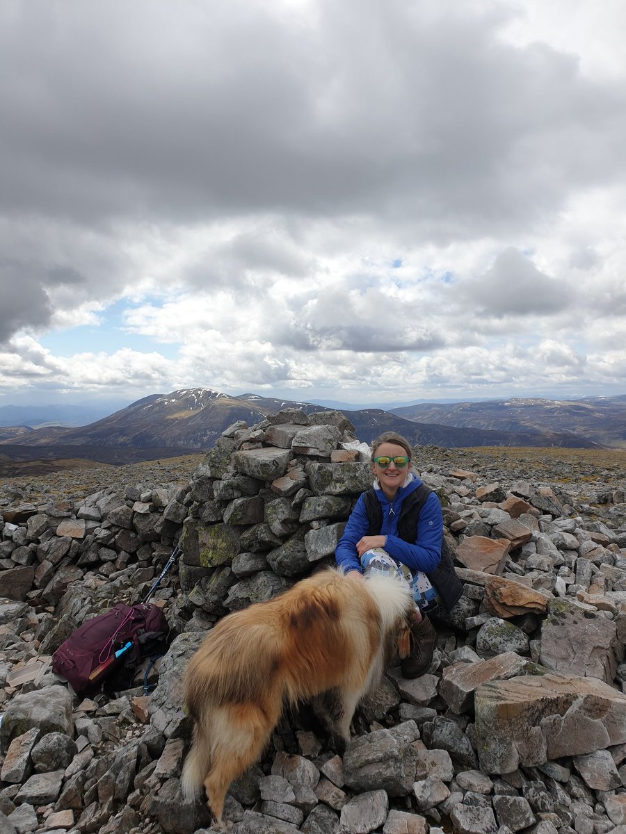FionaS100's tweet photo. Scotland has been showing itself in all its splendour recently and it truly is stunning. โค๐ด๓ ง๓ ข๓ ณ๓ ฃ๓ ด๓ ฟ #munros #roughcoatcollie #supboard #supscotland #longweekends #scotland #VisitScotland #lovescotland #thisisscotland #hikescotland #fatsticks https://t.co/jHj4QwMy7G