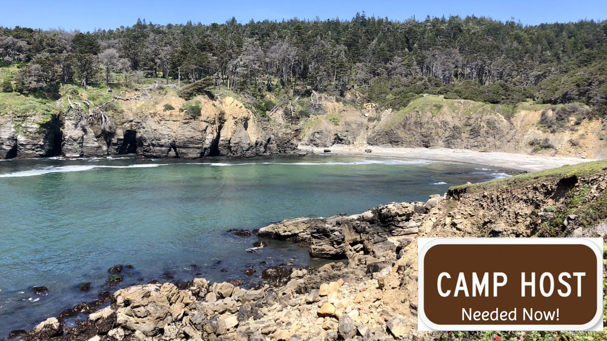 Camp Host positions available now at Salt Point! You can find the camp host volunteer application at parks.ca.gov/?page_id=911.  Go to the page -> Jobs -> Hosts and the link is a couple of paragraphs down. Hope to hear from you soon!
#SaltPoint #CampHost #JobOpening #CaStateParks