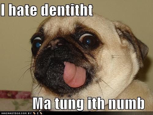 Dr_Zusse's tweet photo. Half my mouf is numb fom the 2nd part of my root canal, but as pwomised I will thill be stweaming tonight. 

Pwease join before it wears awf. 😂

https://t.co/JtZq4ZorZr https://t.co/eLHDT3jNKK