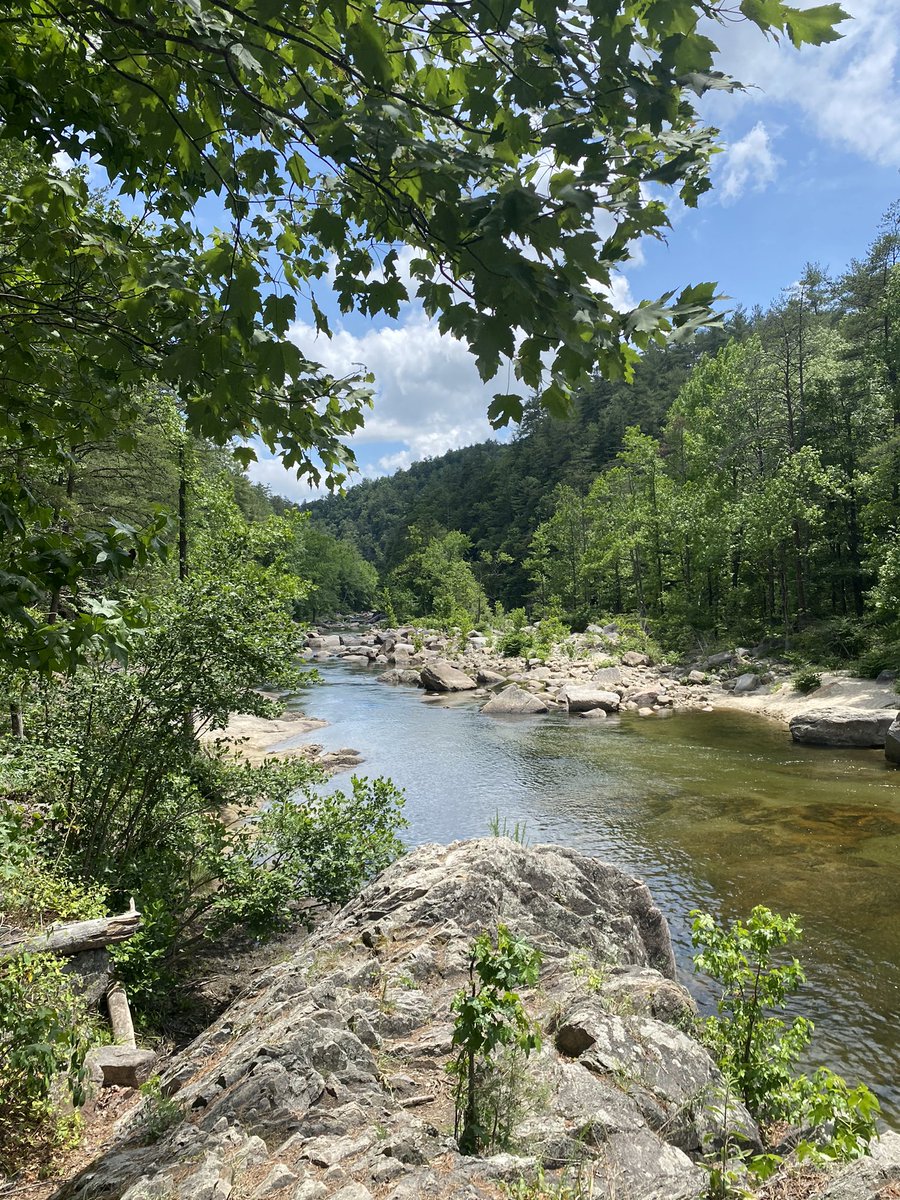 badtweets4free's tweet photo. I get paid to look for salamanders here https://t.co/9Sc1RP13AV