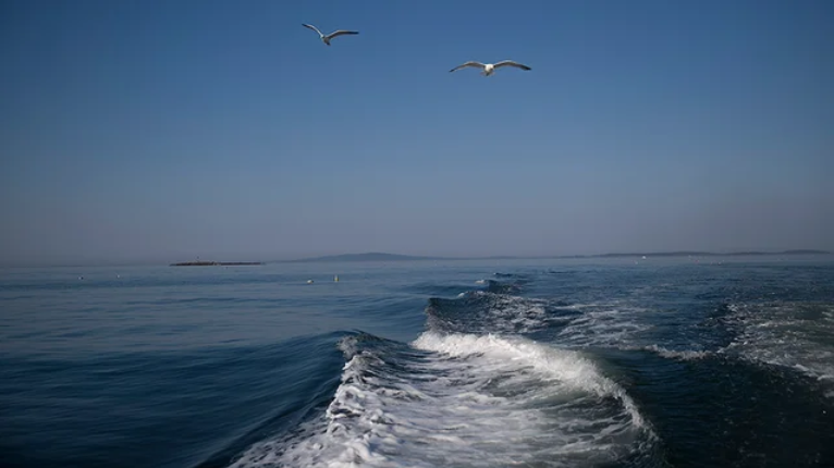 Scripps Institution of Oceanography (@scripps_ocean) on Twitter photo On #WorldOceansDay, Scripps Director Margaret Leinen (<a href="/Leinen4ocean/">Margaret Leinen</a>) shares why our future depends on the health of the ocean, and the #OceanDecade, a once-in-a-century effort to implement sweeping ideas to sustain our ocean. #OpEd via @TheHill thehill.com/opinion/energy… On #WorldOceansDay, Scripps Director Margaret Leinen (<a href="/Leinen4ocean/">Margaret Leinen</a>) shares why our future depends on the health of the ocean, and the #OceanDecade, a once-in-a-century effort to implement sweeping ideas to sustain our ocean. #OpEd via @TheHill thehill.com/opinion/energy…