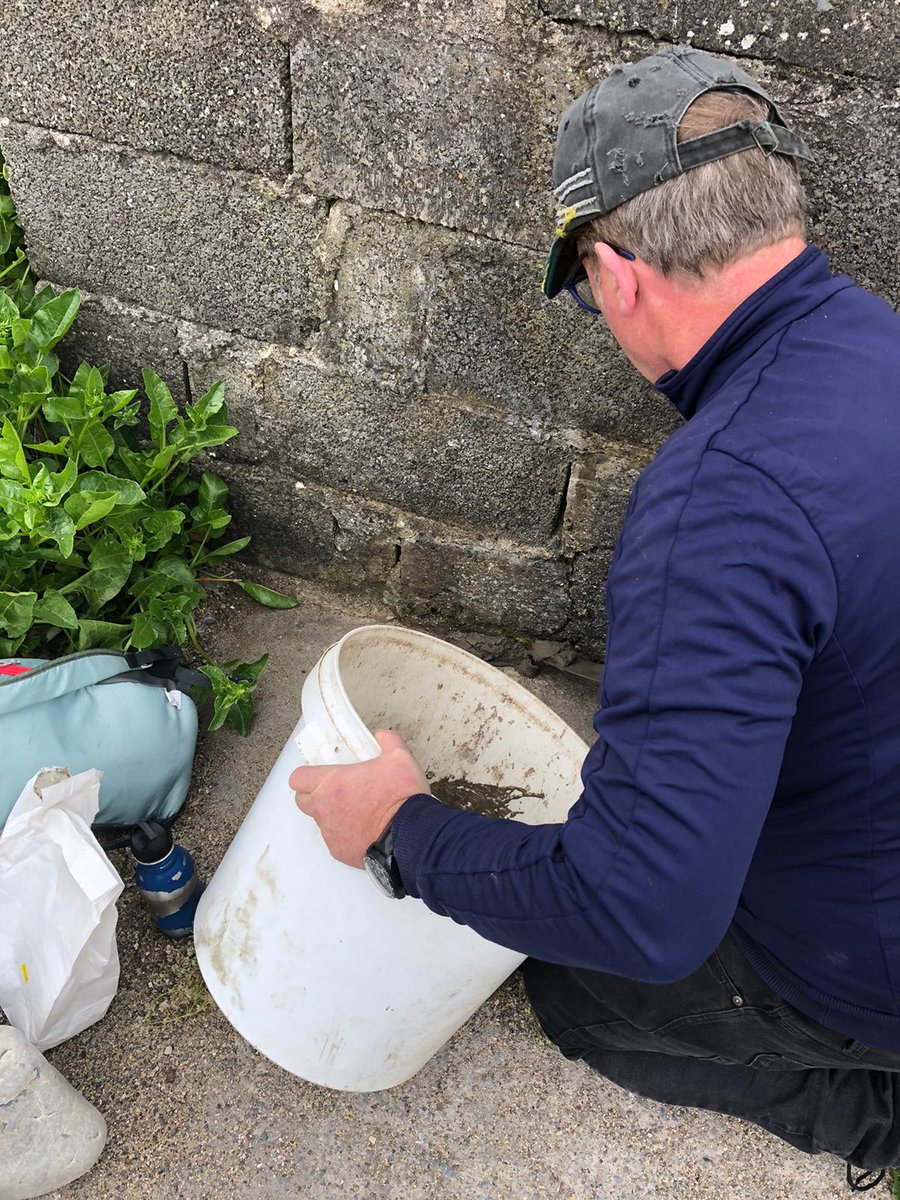 A collaborative effort from our brilliant artist 🎨Nicola from Team HTT & the equally brilliant Team FOBB (Friends Of Balscadden Beach) 👏🙏 Our beautiful place  #leavenotrace #take3forthesea #2minutebeachclean #community 🌊🌊💖