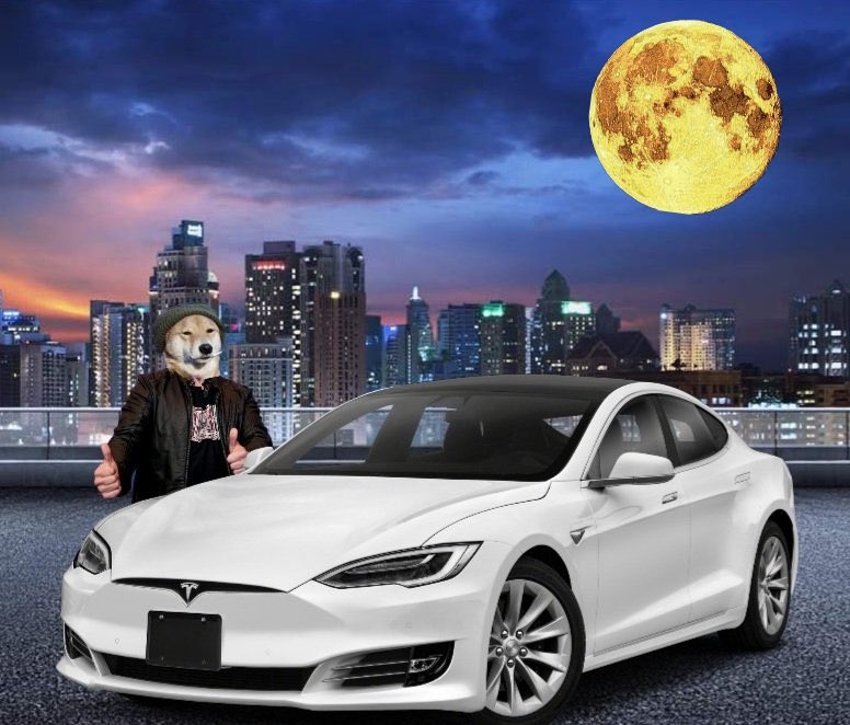 The Dogefather tweet media