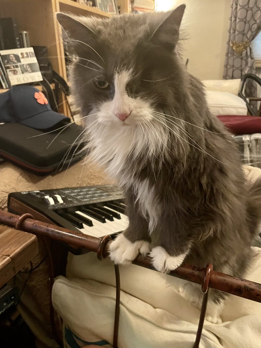 BandBeau's tweet photo. Intern says what? https://t.co/gftG9Shzoy
