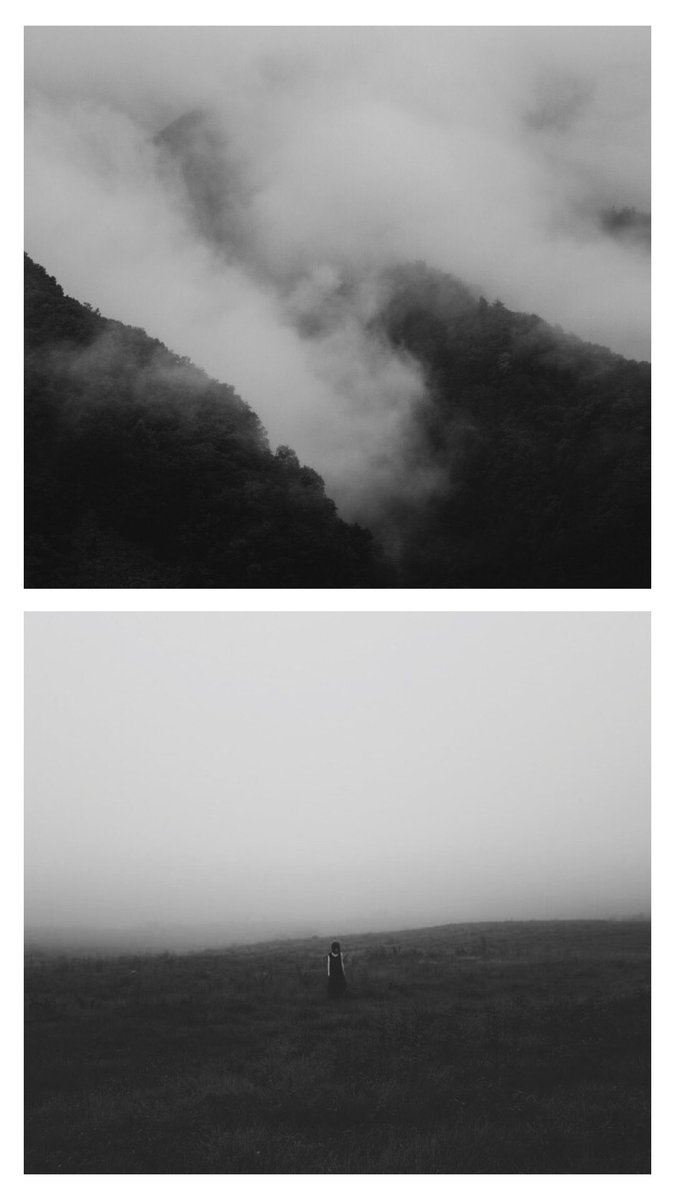 ShoShibataPhoto's tweet photo. https://t.co/9yz9EzXC1G