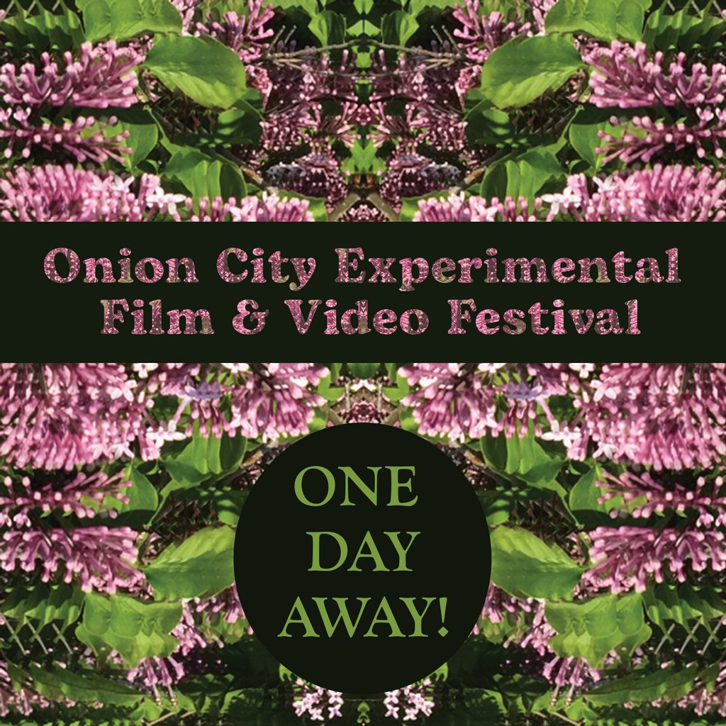 Onion City Onioncityff Twitter