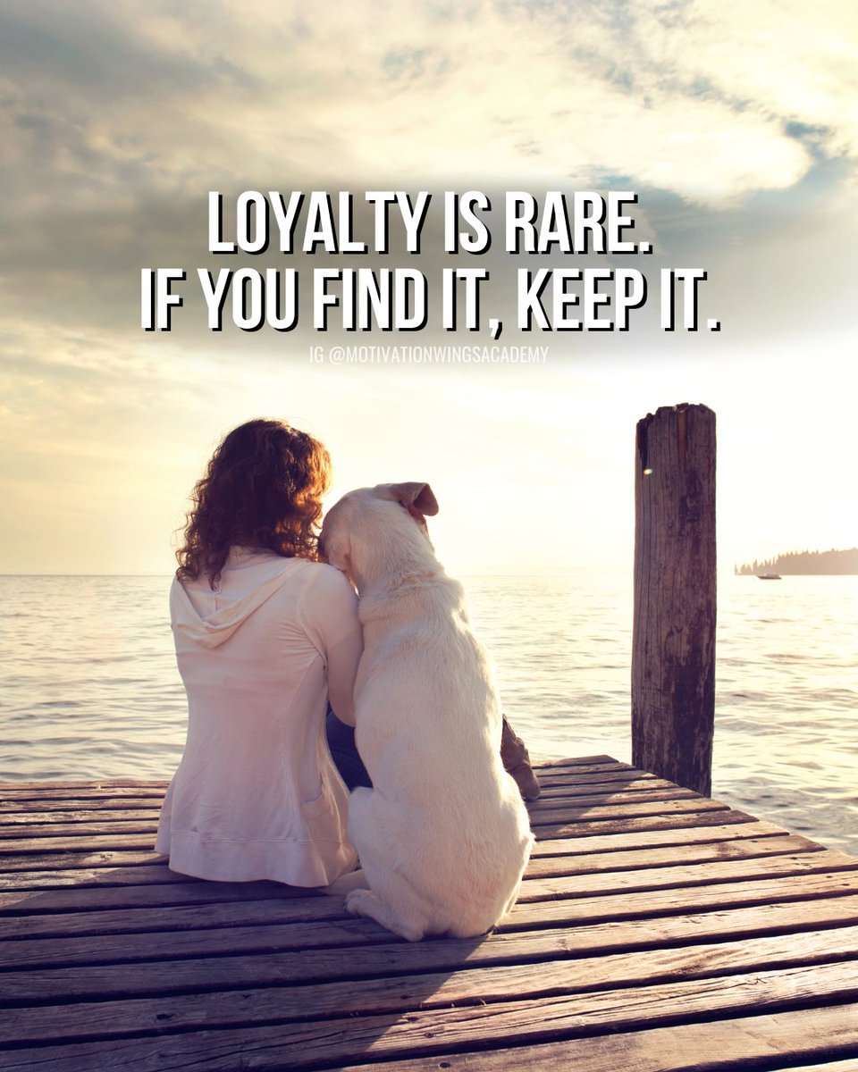 motivationwing's tweet photo. Loyalty is rare. If you find it, keep it.
#motivation #inspiration #inspirational #motivational #quote #quotes #love #motivationmonday #happy #determination #inspire #qotd #positive #positivity #positivevibes #motivationalquotes #quoteoftheday #poetry #instaquote #quotestagram https://t.co/p8E3xdi65A