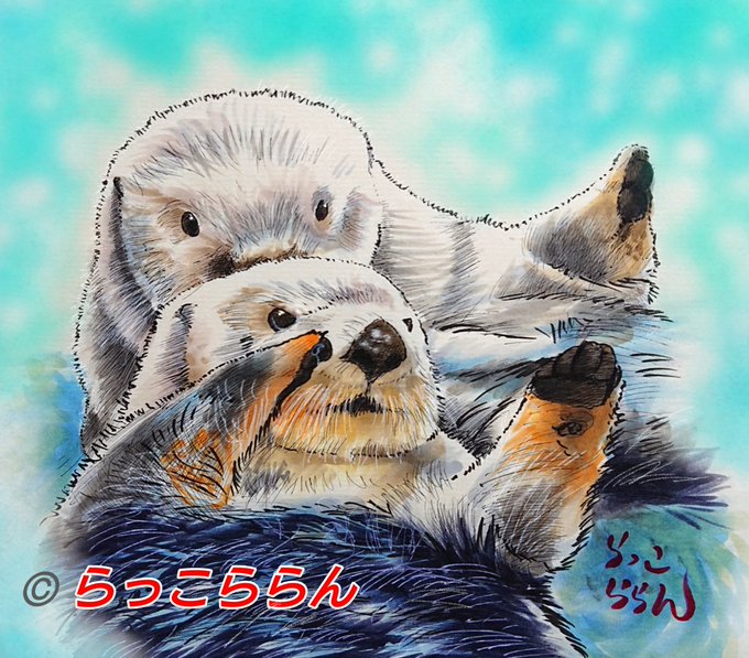 ラッコのラッキーのtwitterイラスト検索結果