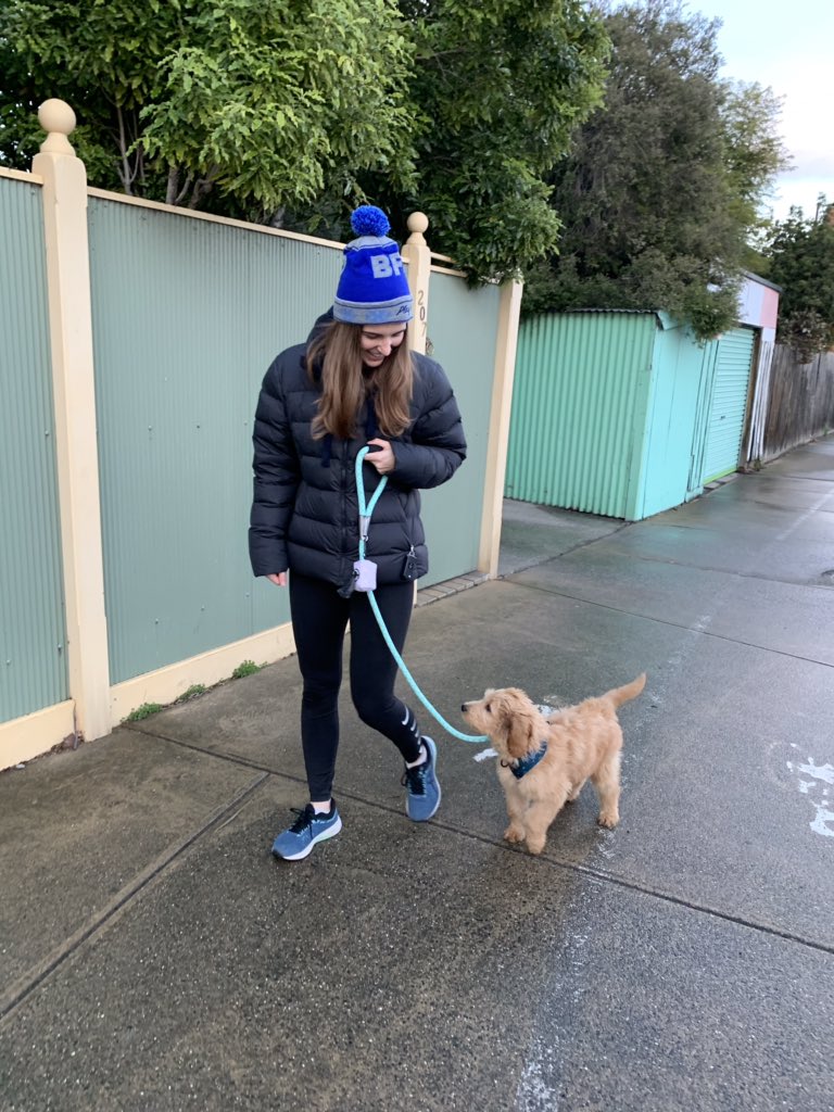 The combination of #Lockdown4 and Melbourne winter are making it very hard to get started in the mornings. Enter an energetic 12 week old puppy. Such a great start to the day 😊 #winniesfirstwalk