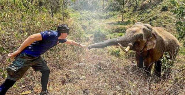 An Elephant Recognizes The Vet Who Saved Him When He Was About To Die 12 Years Ago.