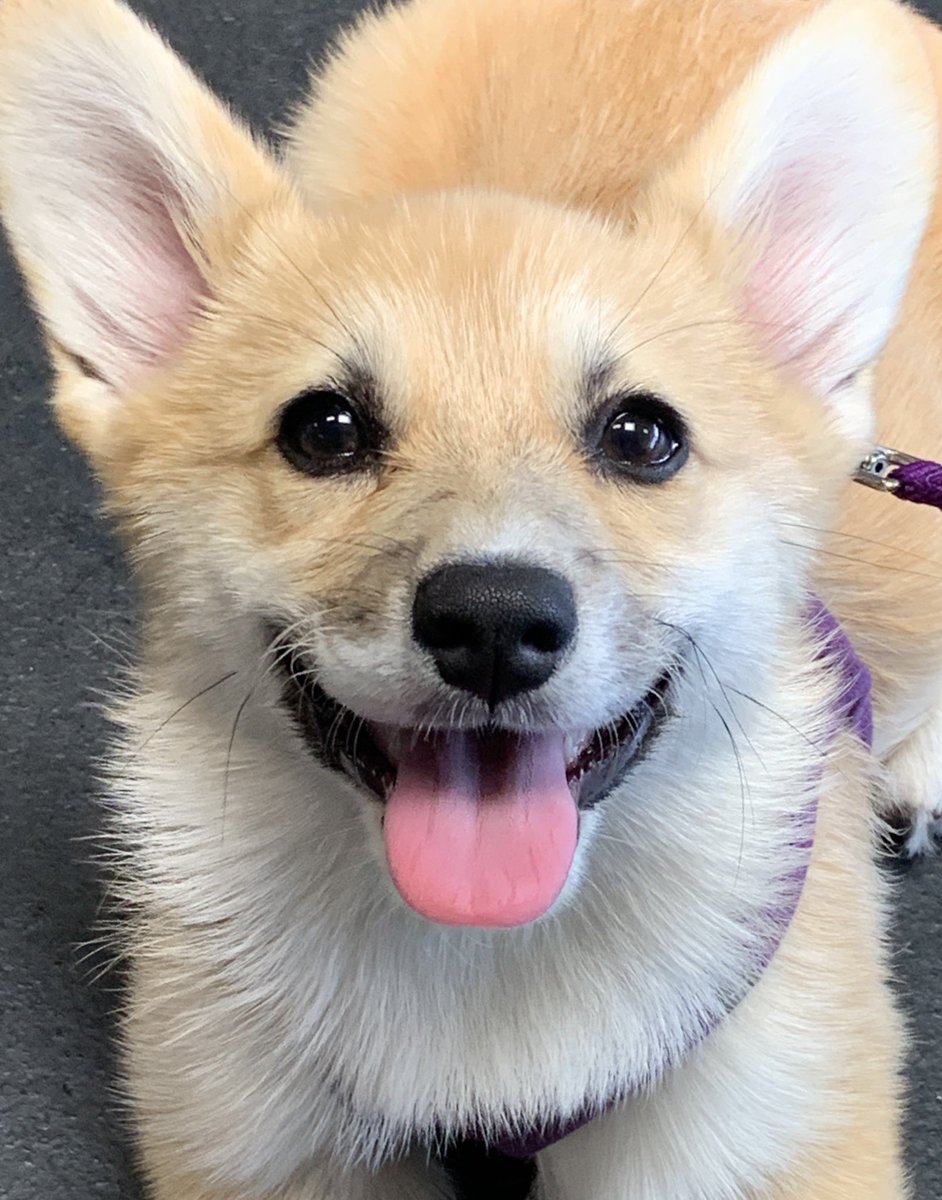 Kevin Simmons tweet media