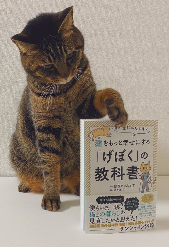 猫は色盲なのでキャットフードに着色料は不要 あれは人間に美味しそうに見せるため という話に 知らなかった の声 Togetter
