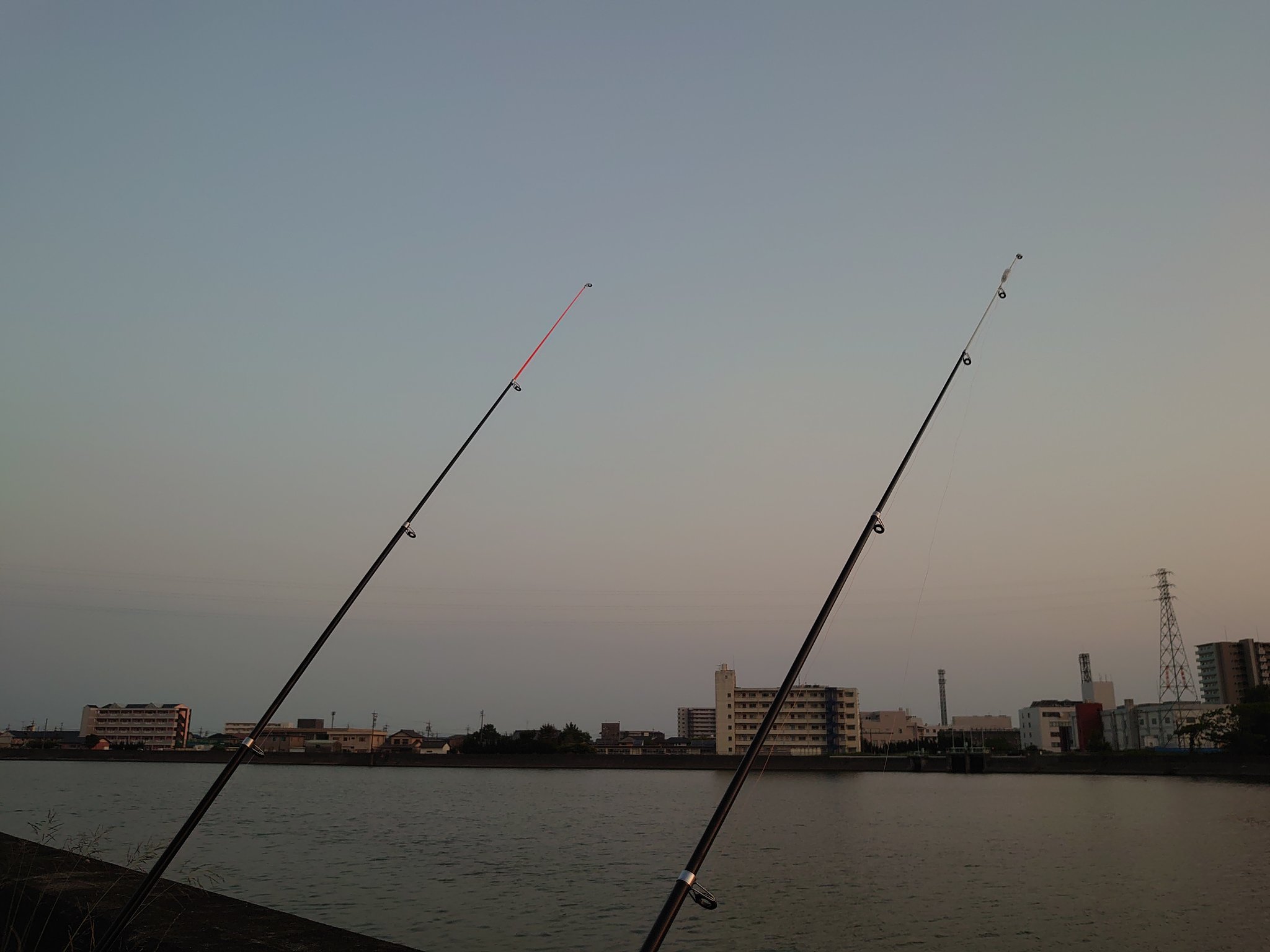 ダイソーロッド Twitter Search Twitter