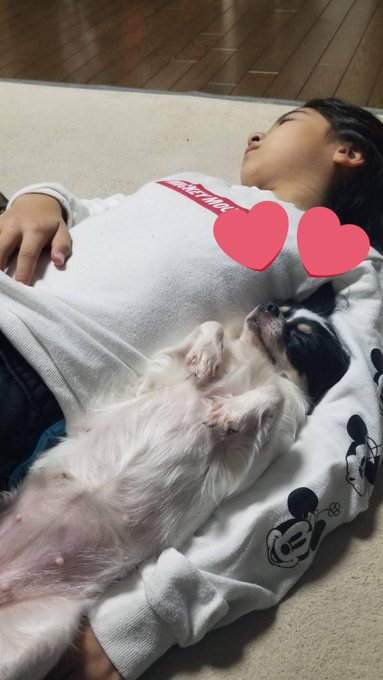 Twitterのコスプレ画像5