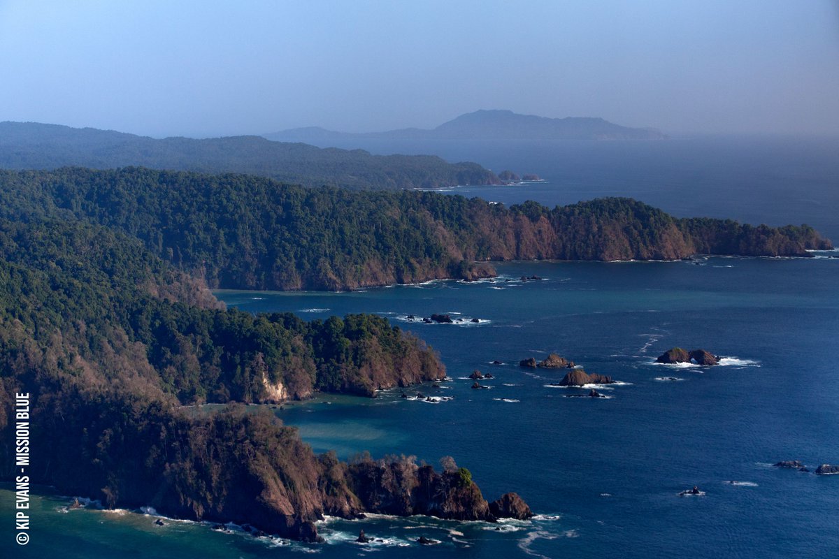 Pew Environment on Twitter: