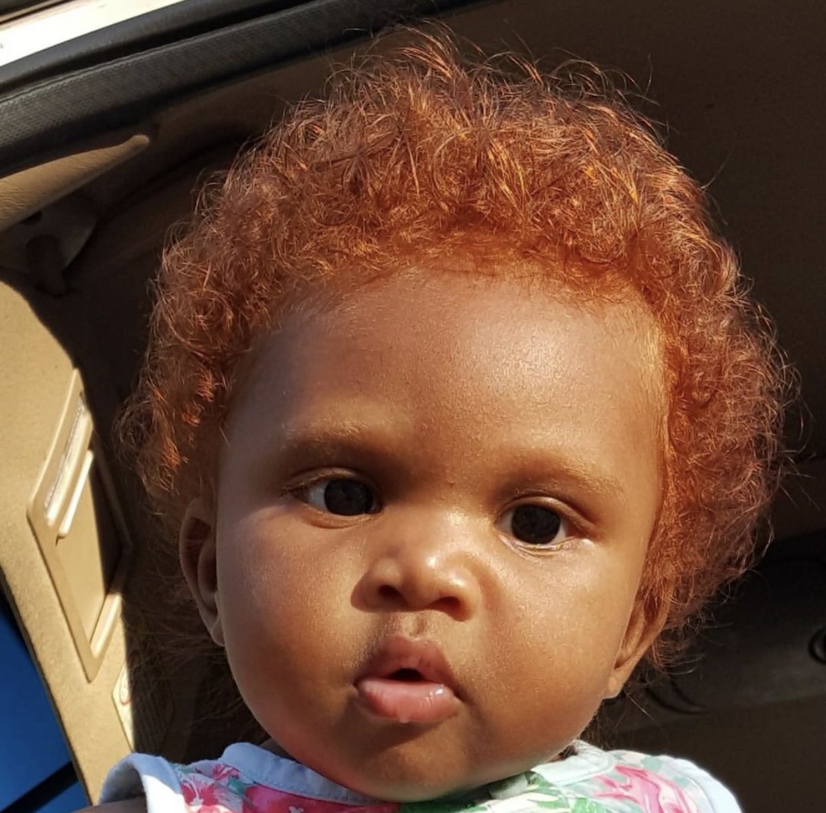 PUT ME ON STUDIOS tweet media