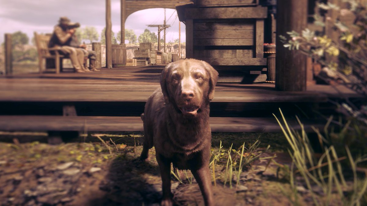 Puppo 💜 #RDR2 #wildrp