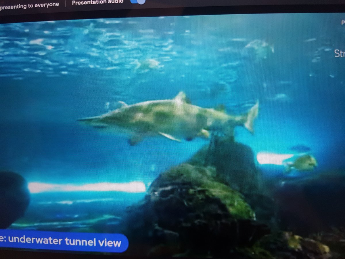 Christine Maidment (she/her) tweet media