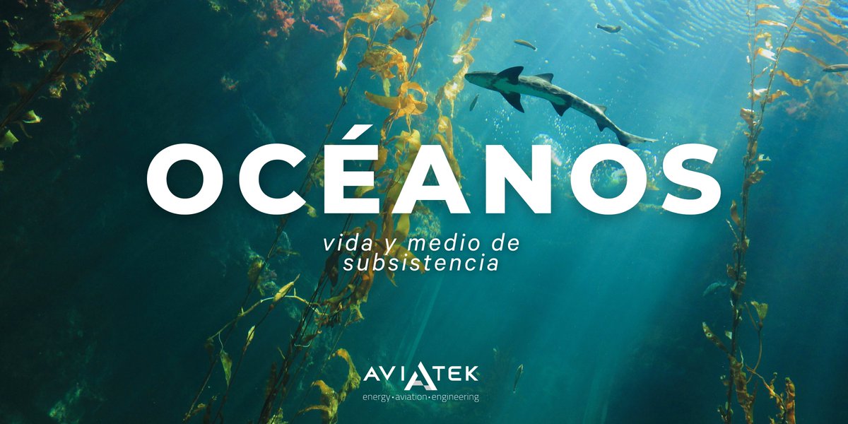 Hoy, en el #DíaMundialdelosOcéanos, resaltamos la importancia de la protección de este ecosistema que es vida y medio de subsistencia de muchas especies, incluyendo la nuestra.