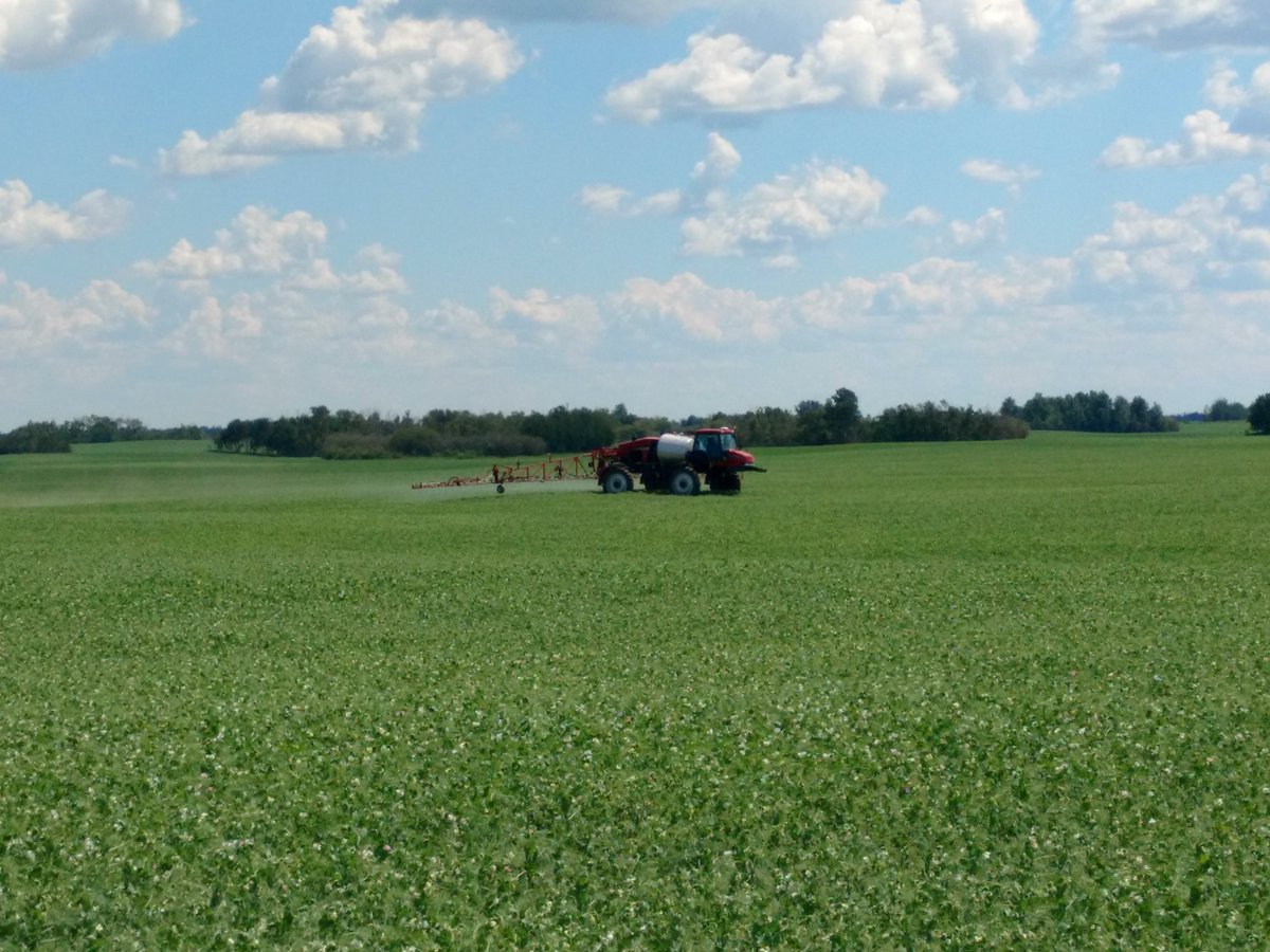 nozzle_guy's tweet photo. Need to spray but it's windy? Here are some updated strategies for dealing with the classic, and almost daily, problem.

 https://t.co/2LSkGxWLYt

#Sprayers101 https://t.co/c8U6lzhHTX
