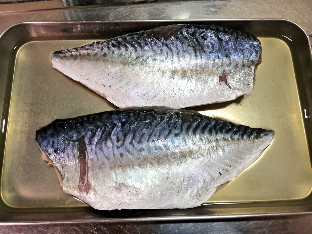 フルノソフテック海釣り同好会 今年はサバの回遊が遅いのか 数が少ないのか たまにポロッと釣れるくらい 餌用の小サバもさっぱり 久々にまともなサイズ釣れたので シメサバにしてみました サバ釣り