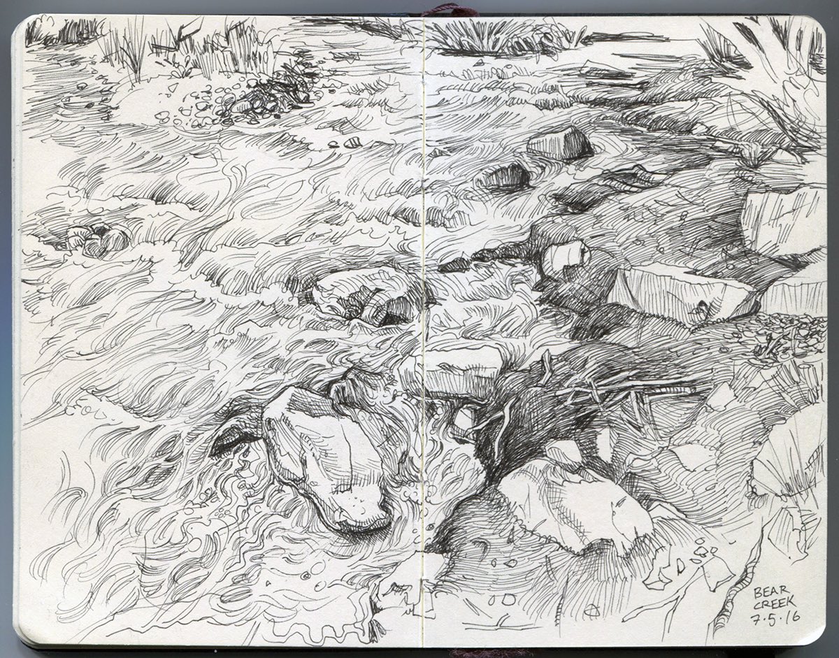 #3underseen I've done lots of nature sketches over the years but I don't think I post them enough. https://t.co/GU5QIcukGR 