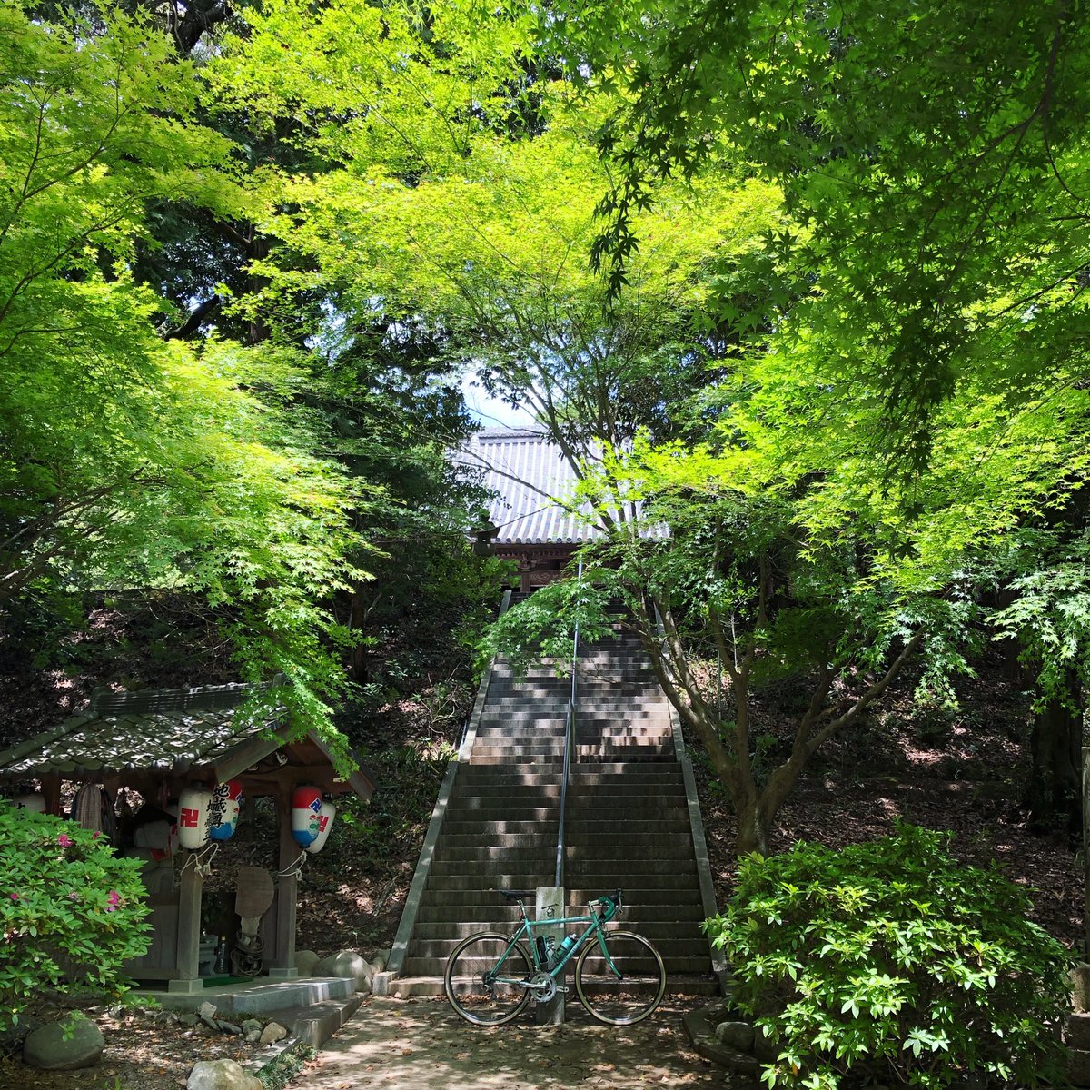 arigatuo03's tweet photo. 福崎町、文殊荘のすぐそばにある神積寺。ふらっと通りかかったら、新緑と陰の涼しげな景色に惹かれて、ちょっと休憩。
階段が何気にドット絵なのが不思議。
#ビアンキ #bianchi #チェレステ #ロードバイク #roadbike #神積寺 #福崎町 #fukusaki #hyogo #japan https://t.co/FWnCBxIp22