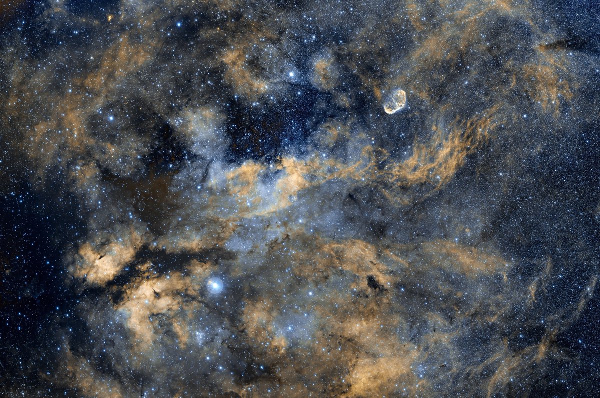 Took me 3 nights to get this 2x2 mosaic of the stunning Ha-region in Cygnus. @erfmufn is right - feels great to get back to the @Celestron RASA. Shot with @zwoasi ASI2600MC Pro and @Optolong_filter l-eNhance. #Astrophotography #AstroHour #Space