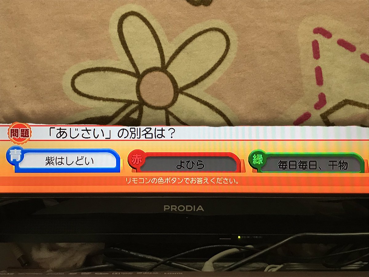 ট ইট র 田川 結貴 今日は全部青にしたら 全部正解した 今日は9ポイント グッドモーニング ことば検定 ことば検定プラス お天気 検定 エンタメ検定
