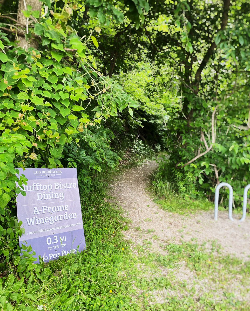 theblufftop's tweet photo. Don’t forget when you’re on the Katy trail this summer there’s an access trail up to LBV! Enjoy a refreshing wine break at The A-Frame or The Bistro during or after you’ve been on the trail. 

#lbvwinery #katytrail #thebistroatlbv #lbvaframe #rocheportmo https://t.co/4sF4Rf9ygJ