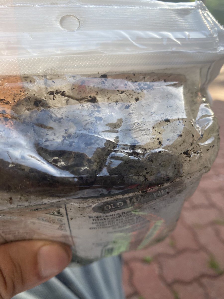 nate baloy tweet media