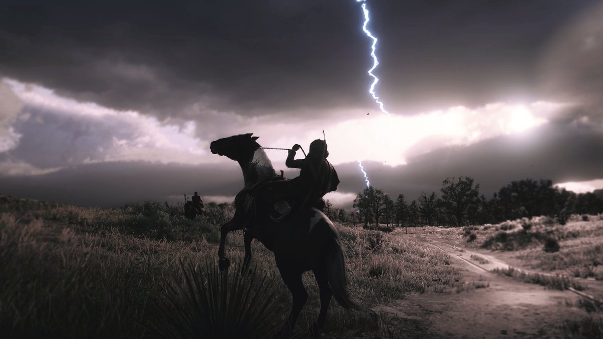 ⚡🌩️ #wildrp #RDR2