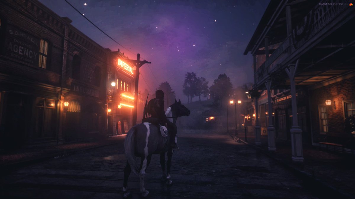 Blackwater nights 💜 #wildrp #RDR2