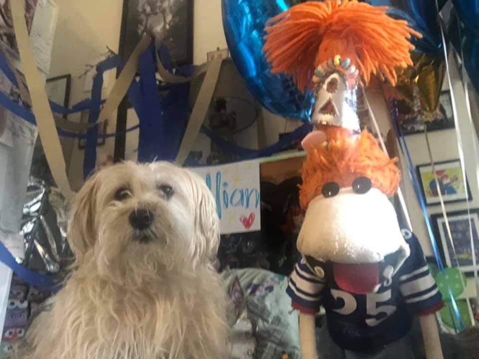 Happy National Best Friends Day  from me and Newhart, your loyal loving buddy pals! ❤️Lolly