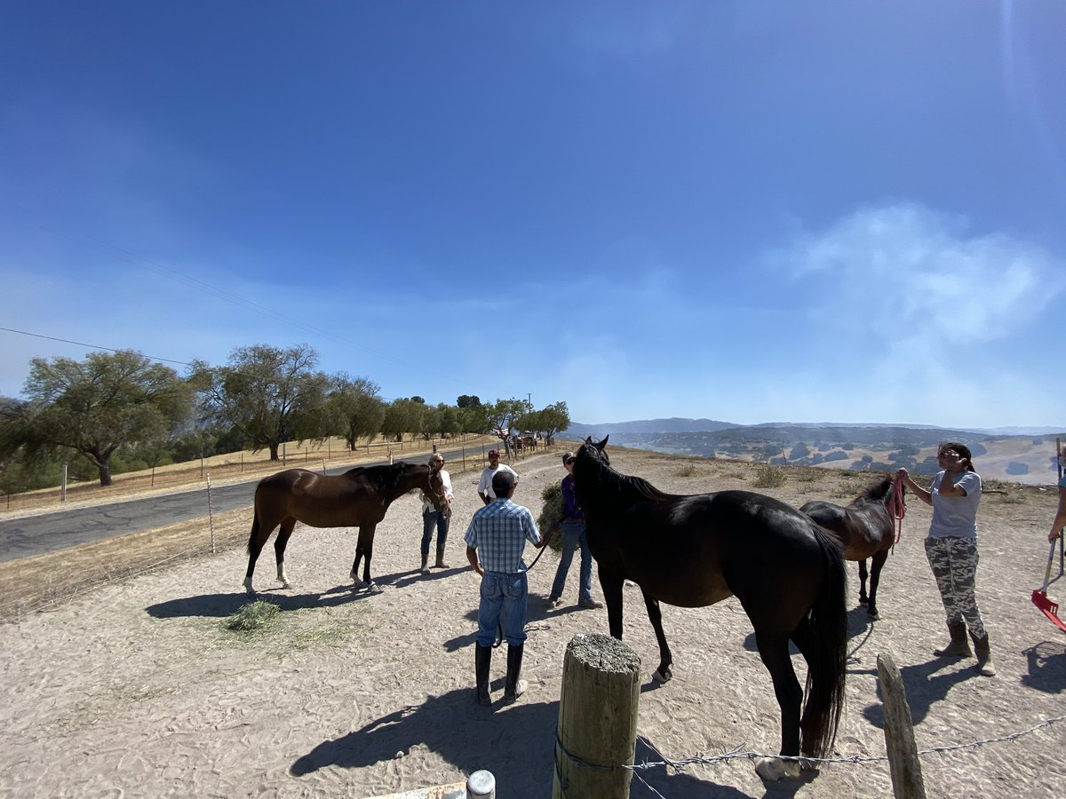 EliasonMike's tweet photo. #BallardFire- Ballard IC reports forward progress stopped, no further evacuations needed. Approximately 20 acres &amp; fixed-wing being released, Copter remains on scene. Resources continue working to extinguish multiple hotspots &amp; containment line. Cause under investigation. https://t.co/prUBjNdbGv