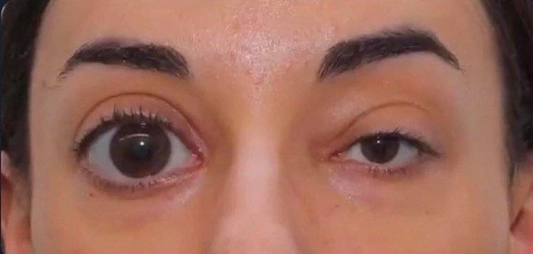 1piecehub's tweet image. nobody:

my eyes in pictures: