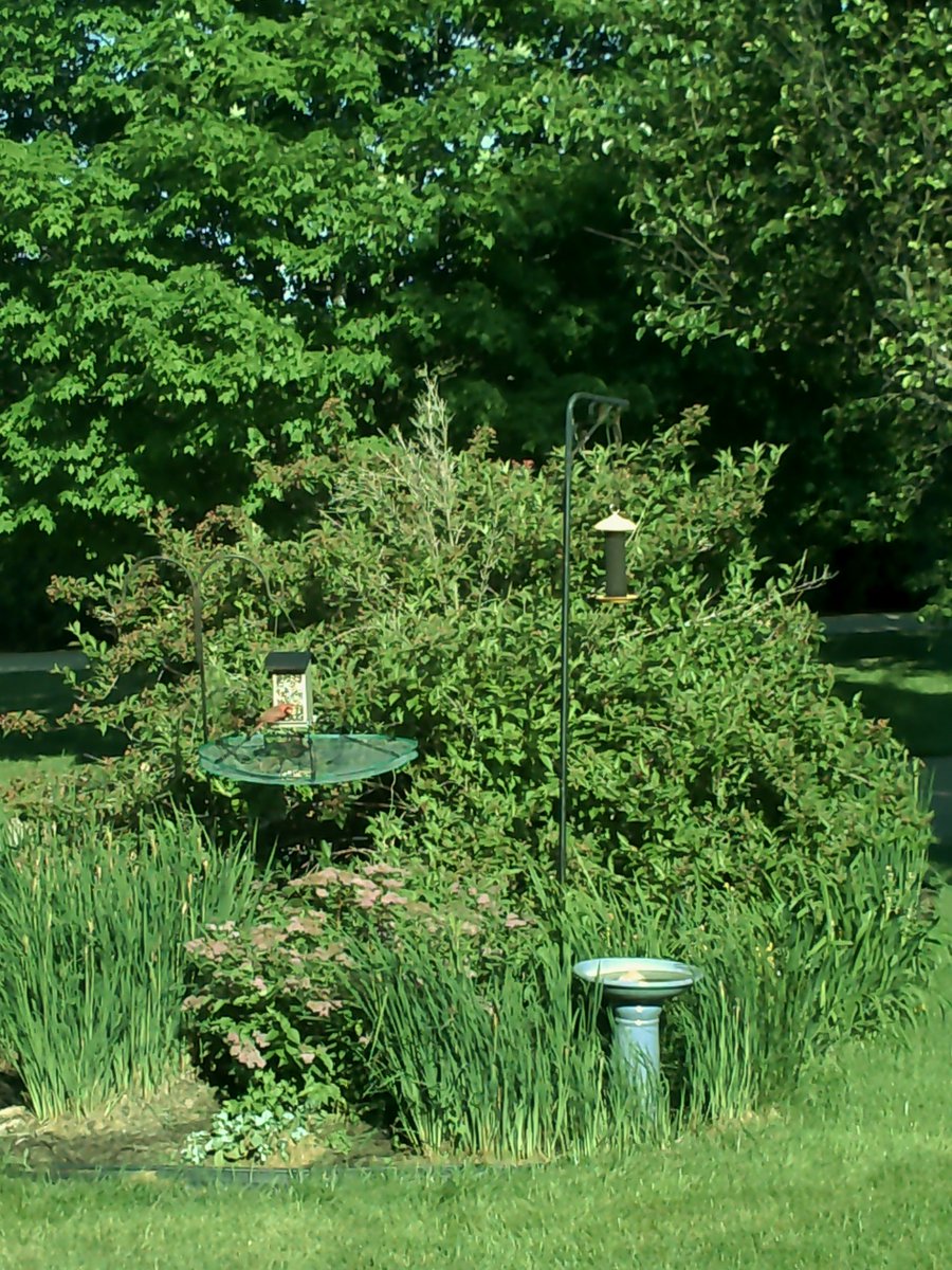 JesseTheFilmLover 🎥🎞🎬🧩🎙👂🎧💖 tweet media