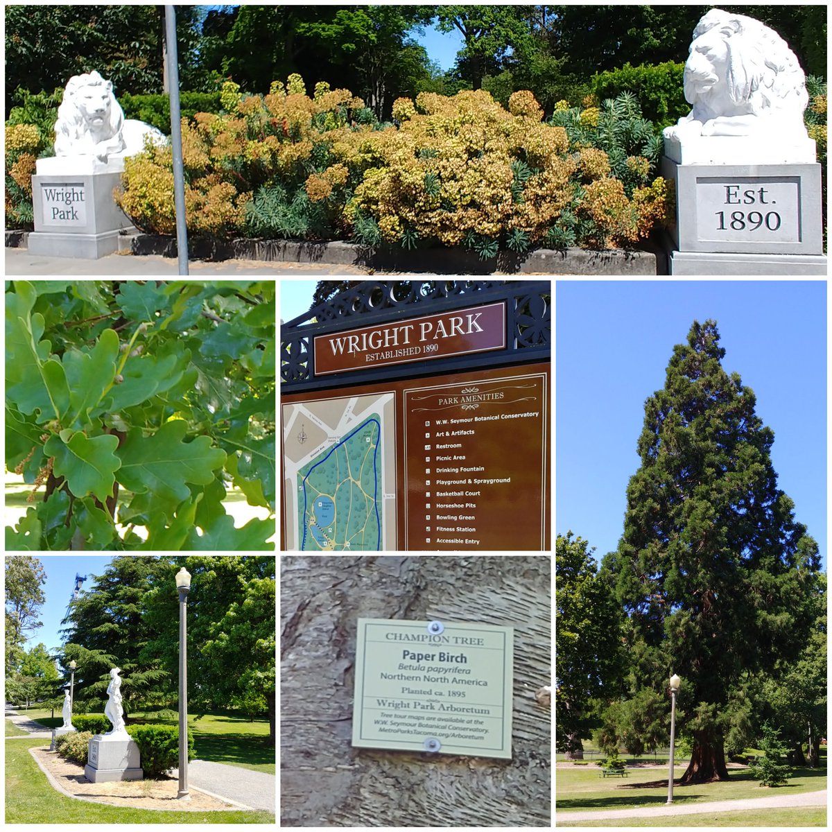 SunComm2012's tweet image. #tacomatrailschallenge