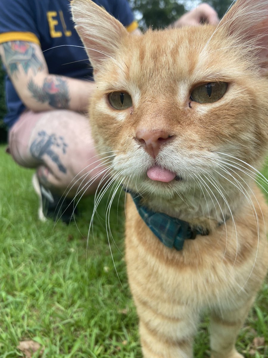 Is somuthinge wrong withe mine , Face?