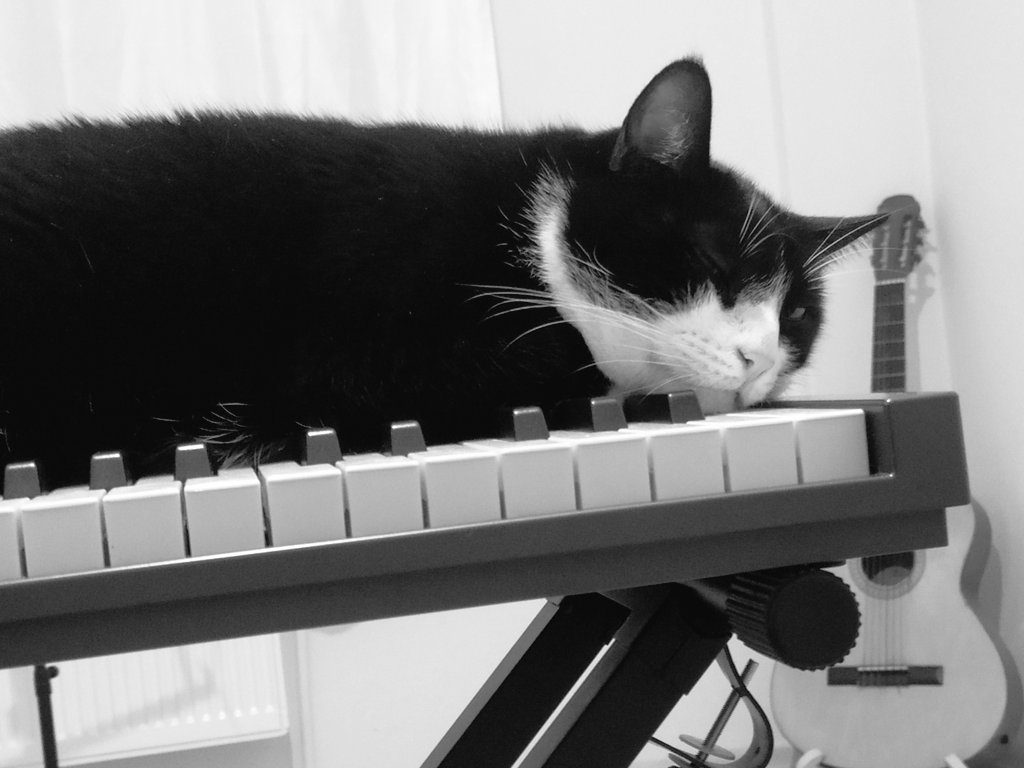 pandemi dönemi siz müzisyenler için yeterince verimli geçiyor mu