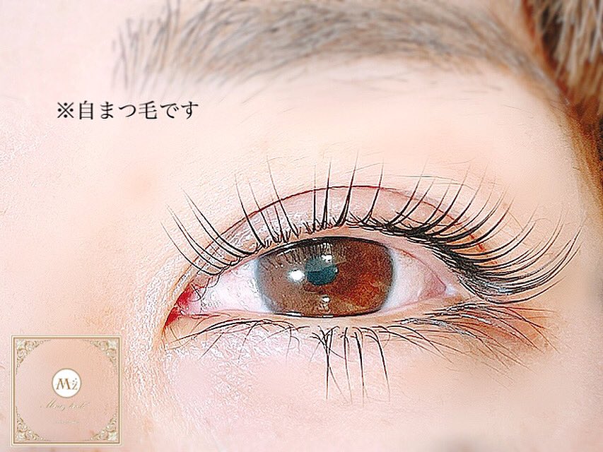 Maazlash マーズラッシュ Eyelashsalon Lashmaaz Twitter Maazlash マーズラッシュ Eyelashsalon Lashmaaz Twitter